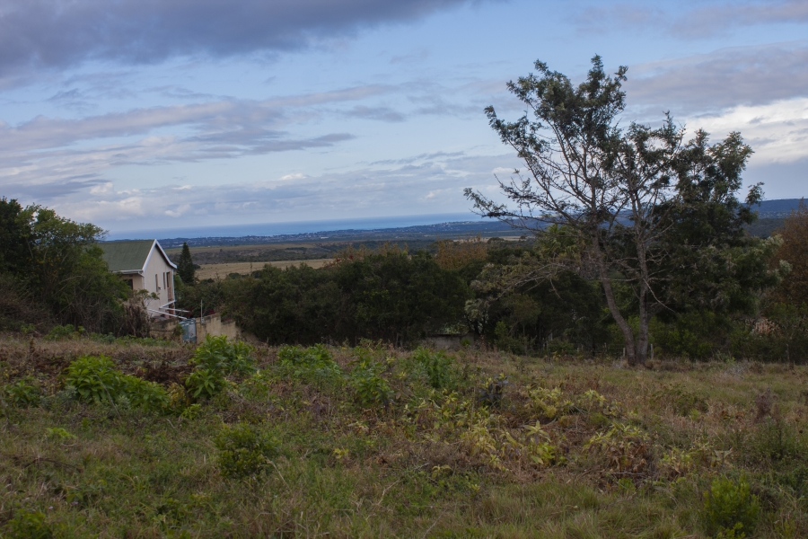 0 Bedroom Property for Sale in Bathurst Eastern Cape